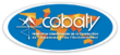 logo cobaty