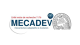 logo mecadev