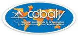 logo cobaty